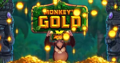 노리밋시티 슬롯 Monkey's Gold xPays 무료체험