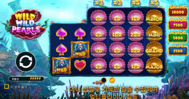 프라그마틱 슬롯 와일드 와일드 펄즈 (Wild Wild Pearls) 게임소개