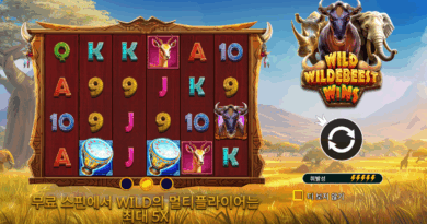 프라그마틱 슬롯 와일드 윌더비스트 윈즈 (Wild Wildebeest Wins) 게임소개
