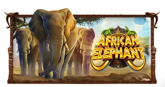 아프리칸 엘리펀트(African Elephant)