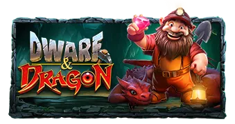 드워프 앤 드래곤(Dwarf & Dragon)