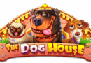 더 도그 하우스 (The Dog House) 무료체험