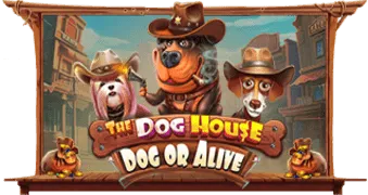 더 도그 하우스 도그 오어 얼라이브(The Dog House - Dog or Alive)