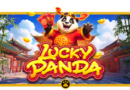 럭키 판다(Lucky Panda) 무료 체험